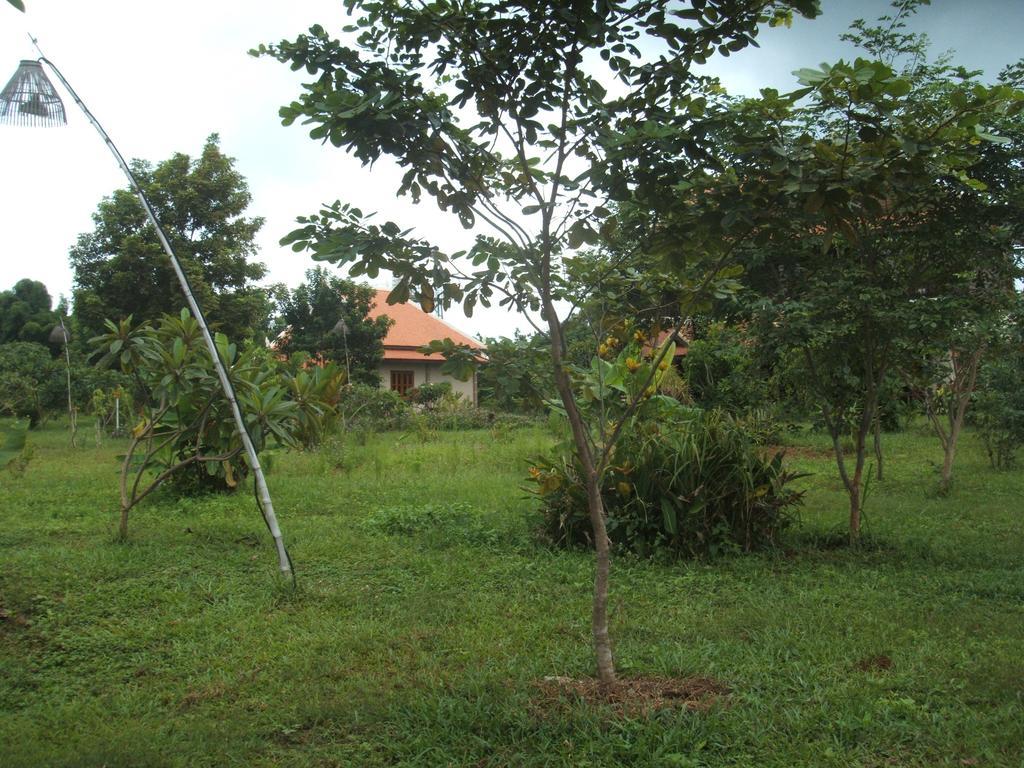 Green Plateau Lodge Banlung Екстериор снимка